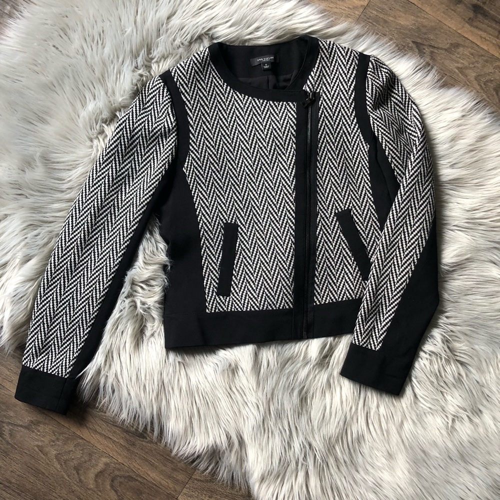 Ann Taylor Herringbone Motorcycle Style Jacket